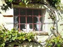 Cottage window