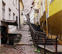 Alley Estonia