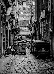 Bin Alley