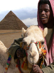 Camel Herder