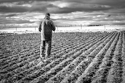 Checking the Furrows