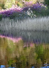 Crinan Reflection