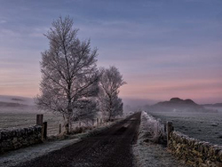 Frosty Morning