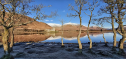 Kilchurn Winter Morning