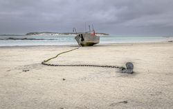 low-tide