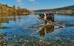 Sara got her Stick